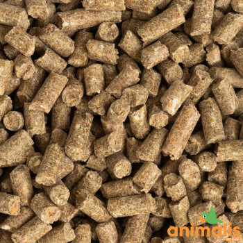 PAT - D.B.H.F. Atletische Pellet 20kg