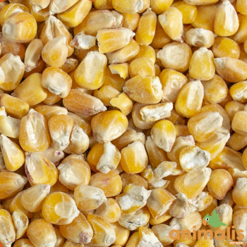 Whole French corn 20 kg