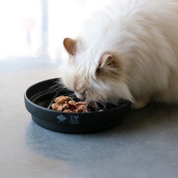 Black anti-glutton bowl - Sue - 750ml - 20x20x4,5cm