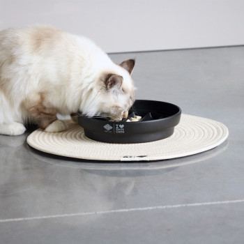 Black anti-glutton bowl - Sue - 750ml - 20x20x4,5cm