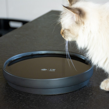 Schwarze Wasserschale für Katzen - Ace - L - 850ml - 20x20x4,5cm