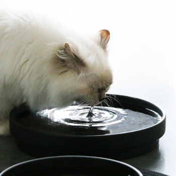 Schwarze Wasserschale für Katzen - Ace - L - 850ml - 20x20x4,5cm