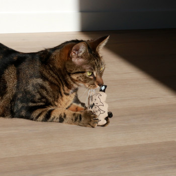 Kattenspeeltje met belletje - Sitting Happy cat - 10x2x6,5cm