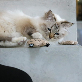 Cat toy with bell - Sitting Happy cat - 8x2x9cm