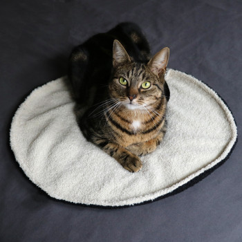 Black/white circular cat blanket - Maeve - 50x50x1cm