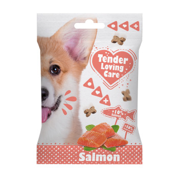 Snack au saumon 100g -...