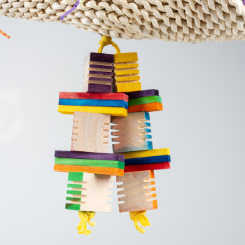Taco de maïs avec des blocs en bois multicolore - Groovy