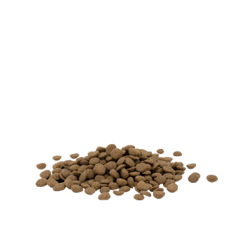 Cat Adult Stérilisé/ Light au poulet 1kg - Opti Life