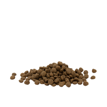 Kat Adult Kip 1kg - Opti Life