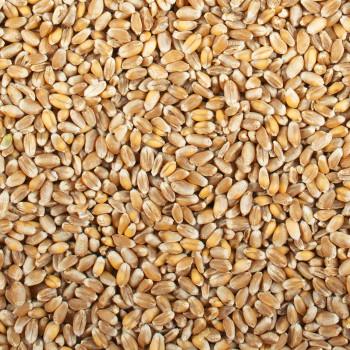 Extra wheat 20kg