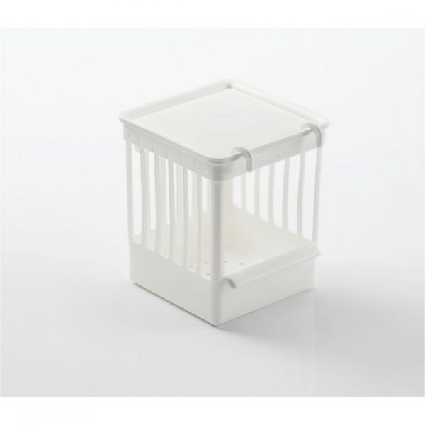 Gesloten witte nest