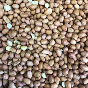 Peanut Peeled 1 kg