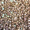 Arachides Pelées 1 kg - Vrac Arachides Pelées 1 kg - Vrac