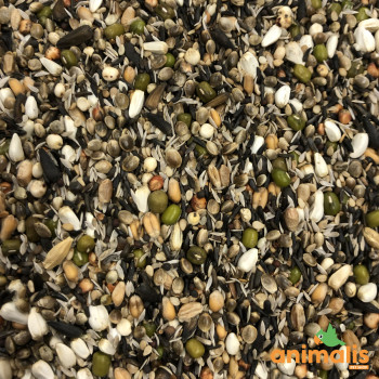 38 - Premium Sprouting Seed Mix 15kg -