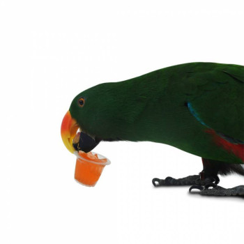 Geleia de frutas sortidas - Taça de frutas - 24 peças - Back Zoo Nature