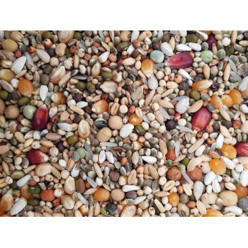 Aidi Super kweek 20kg - Breeding Seed Mix for Pigeons