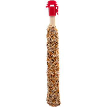 Mixed Fruit & Dandelion Seed Sticks for Canaries - 2 Sticks