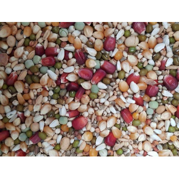Aidi Mix 2 20kg - Sport mix for pigeons