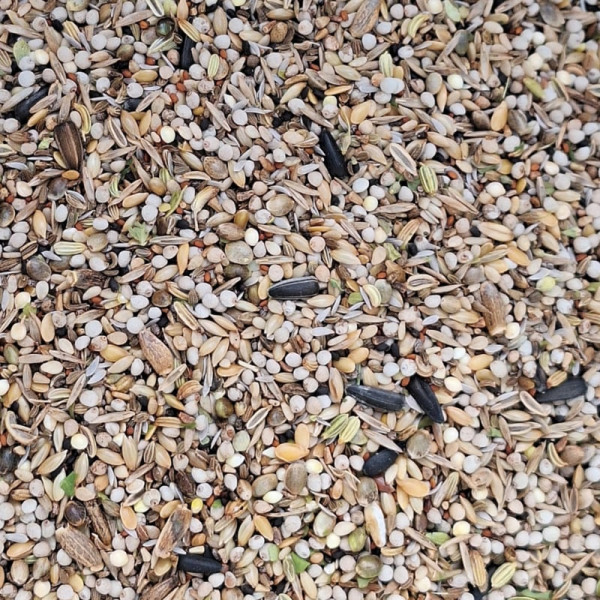 Carduelis seed mix 1kg - Herb bird mix