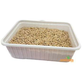 Pinkies (gefrorene Insekten) 450g - Top-Insekt