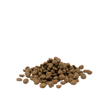 Katze Adult Sensitive au Lachs 2,5kg - Opti Life