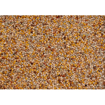 Original Rearing 25kg - Beyers