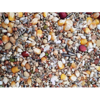 Aidi Mix 3 20kg - Sport mix for pigeons