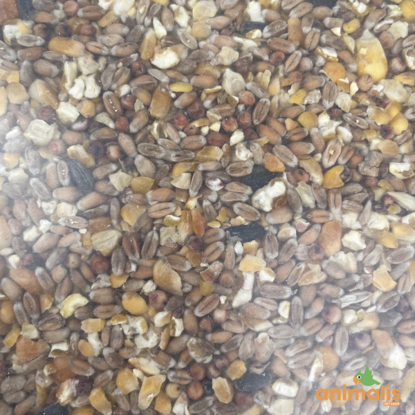 Crushed seed mix "K1" for chicks 1kg - Animalis