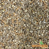 Mélange de graines pour Goulds "Goulds 222" - 1kg - Hoebregts - Vrac Mélange de graines pour Goulds "Goulds 222" - 1kg - Hoebregts - Vrac