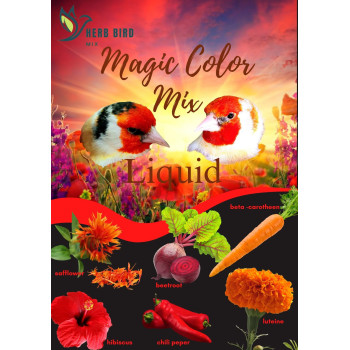 Magic Color Flüssigkeit 300ml - Kräutervogel Mix