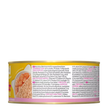 Filet de saumon 70g - Nourriture humide pour chat - Wow