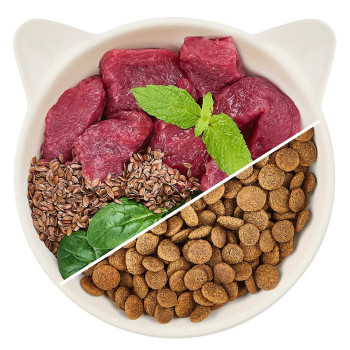 Adult Beef 2kg - Katzenfutter - Wow