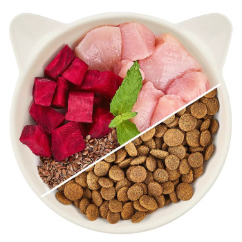 Adult Chicken 325g - Katzenfutter - Wow