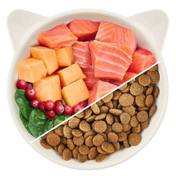 Adult Lachs 2kg - Katzenfutter - Wow