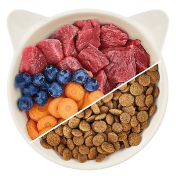 Senior Lamm 2kg - Trockenfutter für ältere Katzen - Wow