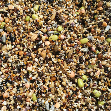 Sprouting seeds 1kg - Herb bird mix Sprouting seeds 1kg - Herb bird mix