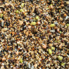 Sprouting seeds 1kg - Herb bird mix Sprouting seeds 1kg - Herb bird mix