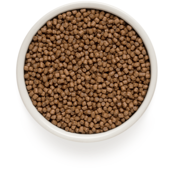 Lamm & Pute 2kg - Kätzchen - Grandorf