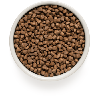 Lapin et Dinde 400g - Adult Sterilisé - Grandorf