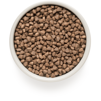 Witte vis en kalkoen 2kg - Volwassene - Grandorf