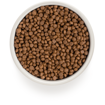 4 Fleisch 400g - Erwachsene Indoor - Grandorf
