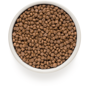 4 Viande 2kg - Adult Sterilisé - Grandorf
