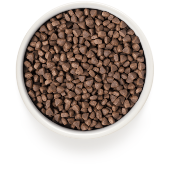 Dinde 400g - Adult Sterilisé - Grandorf