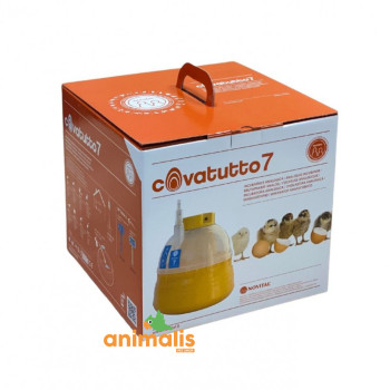 Covatutto 7 Inkubator - Novital