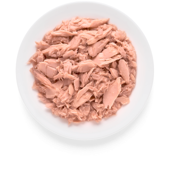 Filet de Thon 70g - Nourriture humide - Grandorf