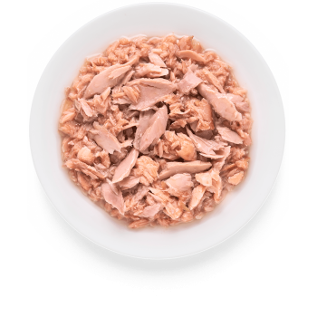 Filet de Thon et Saumon 70g - Nourriture humide - Grandorf
