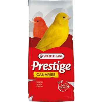 Canaris Elevage sans...