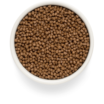 Vers lamsvlees en zoete aardappel 400g - Fresh - Kitten - Grandorf