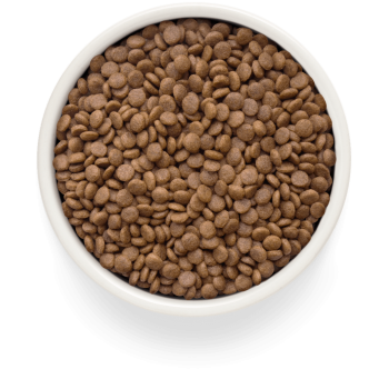Filet de saumon frais et patate douce 2kg - Fresh - Adult Sterilisé - Grandorf
