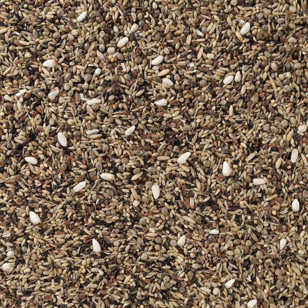 Native birds without shuttle 20kg - N°83 - Deli Nature (Beyers)